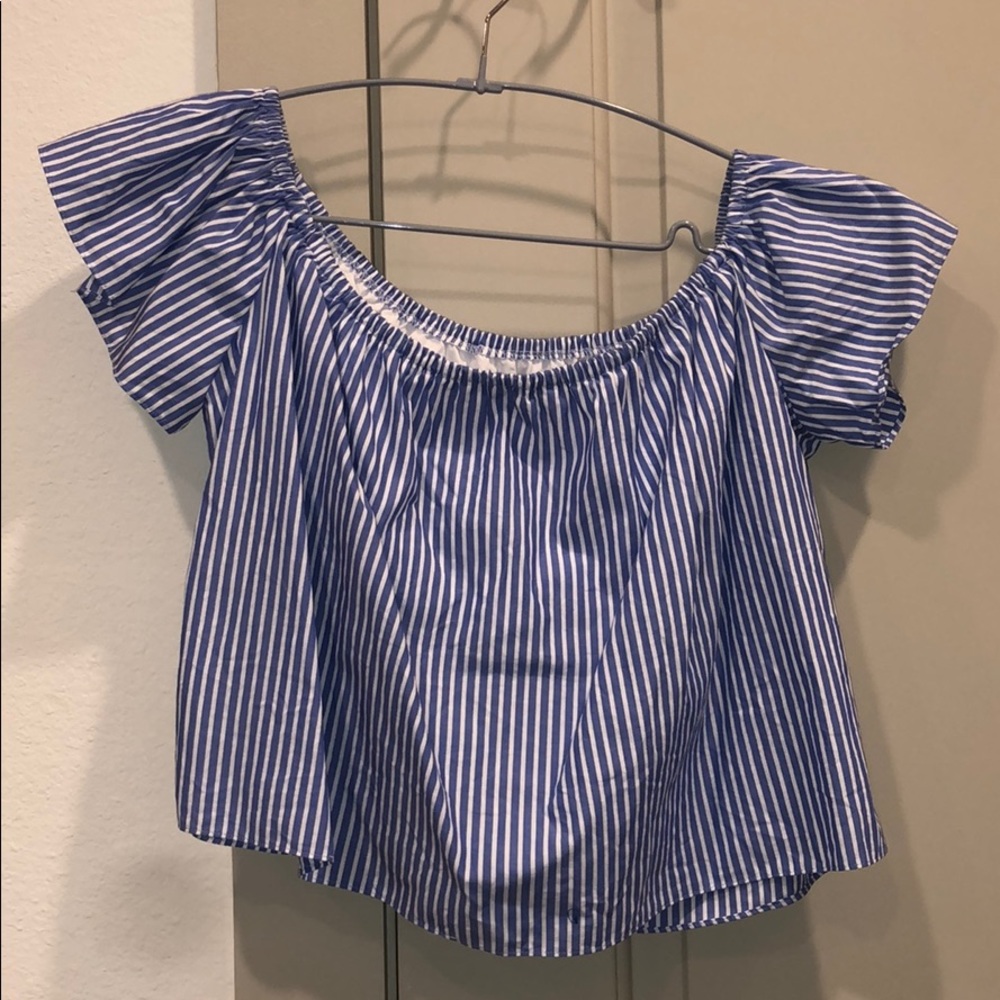 Zara OTS crop